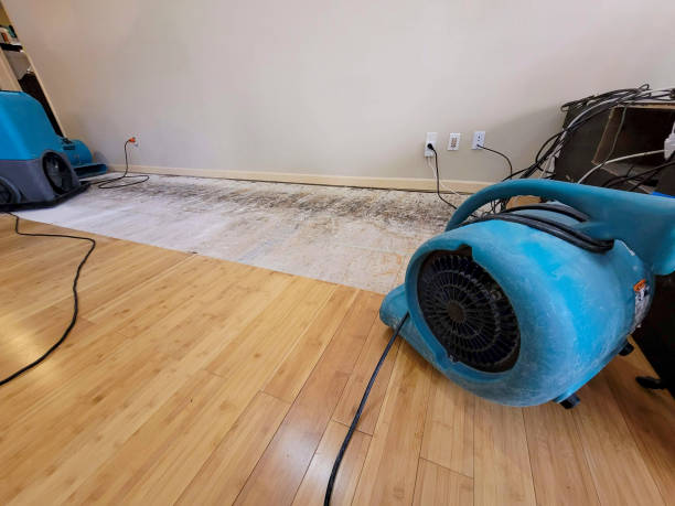 Professional Emergency Water Damage technician working in Shepherdsville, KY